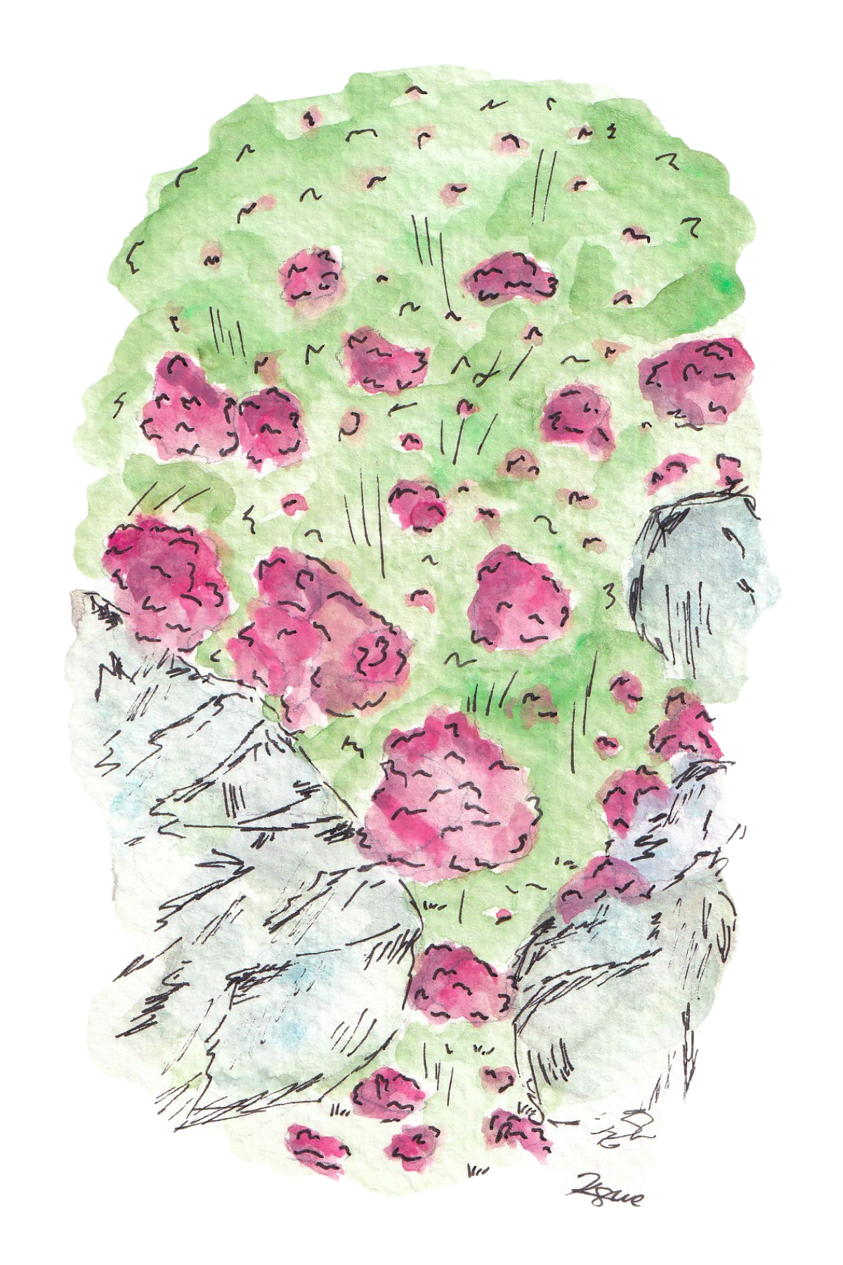 Battery Point Watercolor Postcard